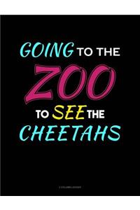 Going to the Zoo to See the Cheetahs