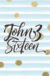 John 3 Sixteen