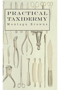Practical Taxidermy - A Manual of Instruction To The Amateur In Collecting, Preserving, And Setting Up Natural History Specimens of All Kinds