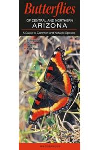 Butterflies of Central and Northern Arizona