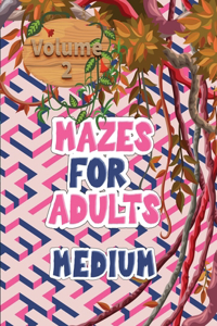 Mazes for adults