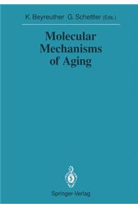 Molecular Mechanisms of Aging