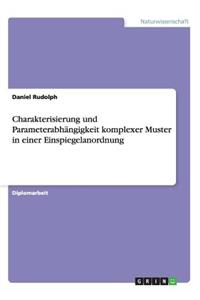 Charakterisierung und Parameterabhängigkeit komplexer Muster in einer Einspiegelanordnung