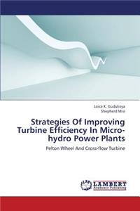 Strategies Of Improving Turbine Efficiency In Micro-hydro Power Plants