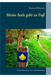 Meine Seele geht zu Fuß