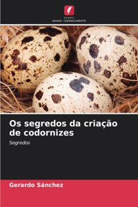 Os segredos da criação de codornizes