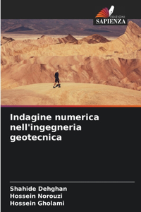 Indagine numerica nell'ingegneria geotecnica