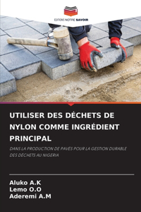 Utiliser Des Déchets de Nylon Comme Ingrédient Principal