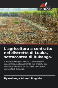 L'agricoltura a contratto nel distretto di Luuka, sottocontea di Bukanga.