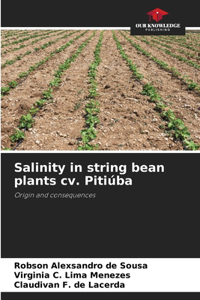 Salinity in string bean plants cv. Pitiúba