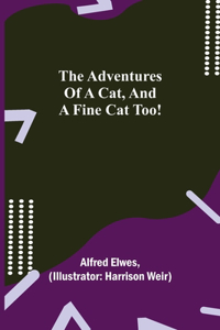 Adventures of a Cat, and a Fine Cat Too!