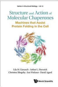 Structure And Action Of Molecular Chaperones: Machines That Assist Protein Folding In The Cell