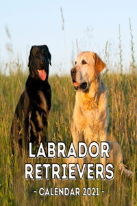 Labrador Retrievers