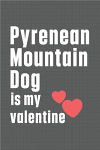 Pyrenean Mountain Dog is my valentine