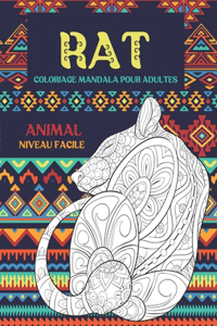Coloriage Mandala pour adultes - Niveau facile - Animal - Rat