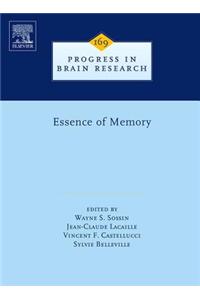Essence of Memory