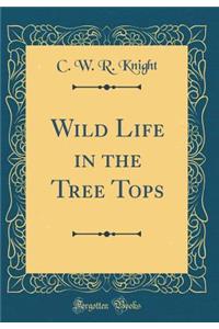 Wild Life in the Tree Tops (Classic Reprint)