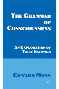 Grammar of Consciousness