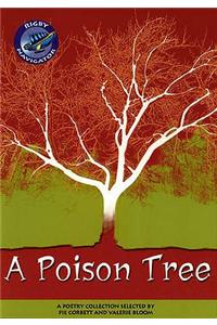 Navigator: A Poison Tree Guided Reading Pack