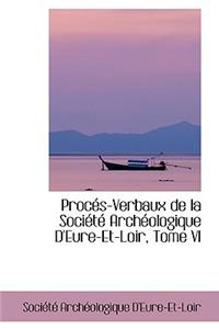 Proces-Verbaux de la Societe Archeologique d'Eure-Et-Loir, Tome VI