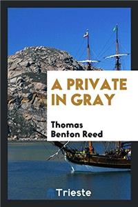 A Private in Gray