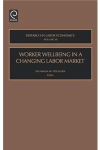 Worker Wellbeing in a Changing Labor Market