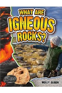 What Are Igneous Rocks?