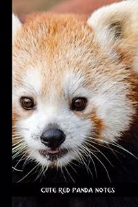 cute red panda notes