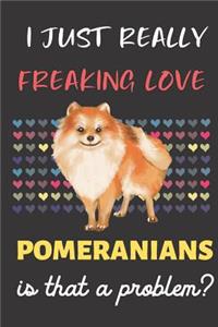 I Just Really Freaking Love Pomeranians. Is That A Problem?