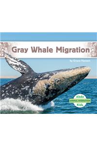 Gray Whale Migration