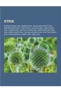 Strix: African Wood Owl, Barred Owl, Black-And-White Owl, Brown Wood Owl, Chaco Owl, Fulvous Owl, Great Grey Owl, Hume's Owl,
