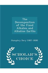 The Decomposition of the Fixed Alkalies and Alkaline Earths - Scholar's Choice Edition