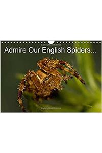 Admire Our English Spiders 2017