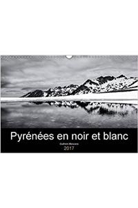 Pyrenees En Noir Et Blanc 2017