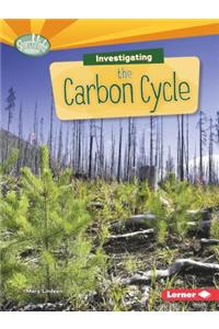 Investigating the Carbon Cycle