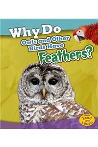 Why Do Owls and Other Birds Have Feathers?