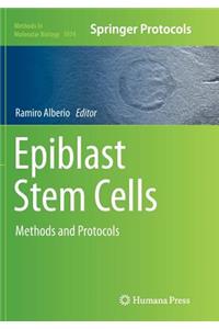 Epiblast Stem Cells