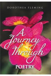 A Journey Through Poetry