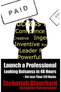 Launch a Professional Looking Business in 48 Hours