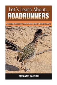 Roadrunners: Amazing Pictures and Facts about Roadrunners