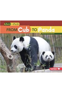 From Cub to Panda