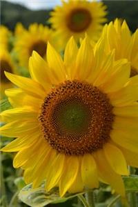 Sunflower Journal: 160 Page Lined Journal/Notebook