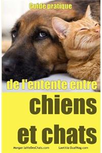 Guide pratique de l'entente entre chiens et chats