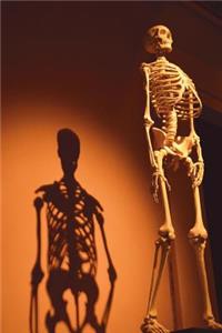The Human Skeleton Journal