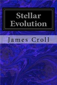 Stellar Evolution