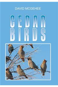Cedar Birds