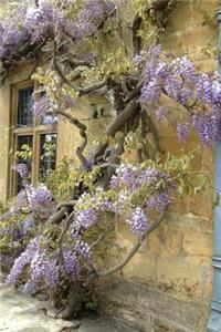 An Exquisite Purple Wisteria Tree Against a Rustic Brick Wall Journal