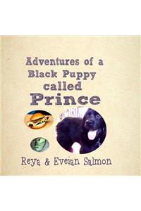 Adventures of a Black Puppy called Prince