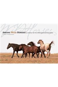 Among Wild Horses
