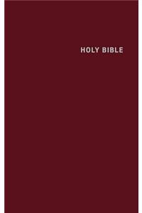 Deep Blue Kids Bible-CEB